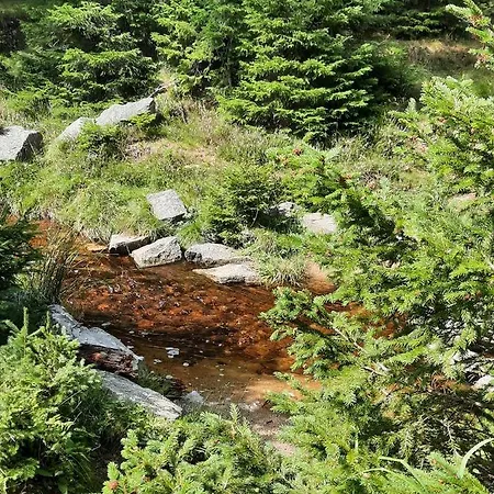 Garden House Апартаменты *