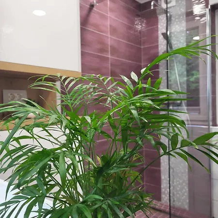 Garden House Апартаменты