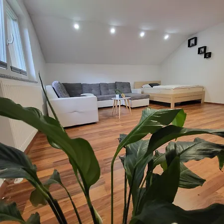 Apartma Garden House Zrece