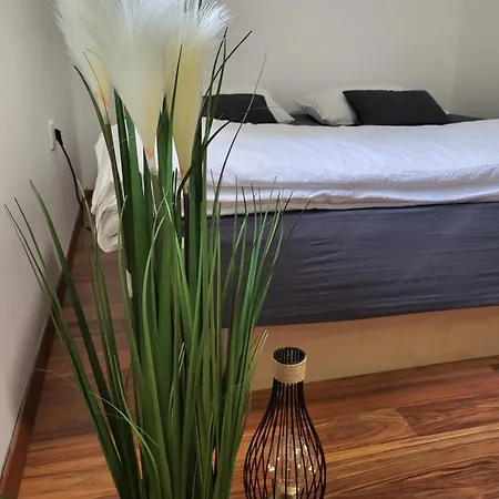 Апартаменты Garden House Зрече