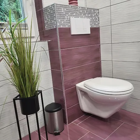 Apartma Garden House Zrece