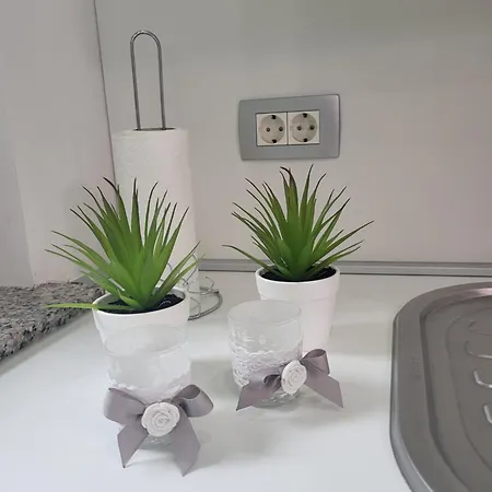 Apartma Garden House Zrece