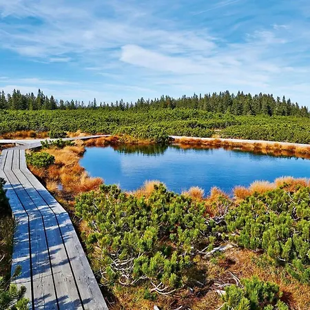 Апартаменты Garden House Зрече