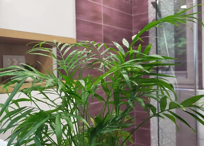 Garden House Lägenhet